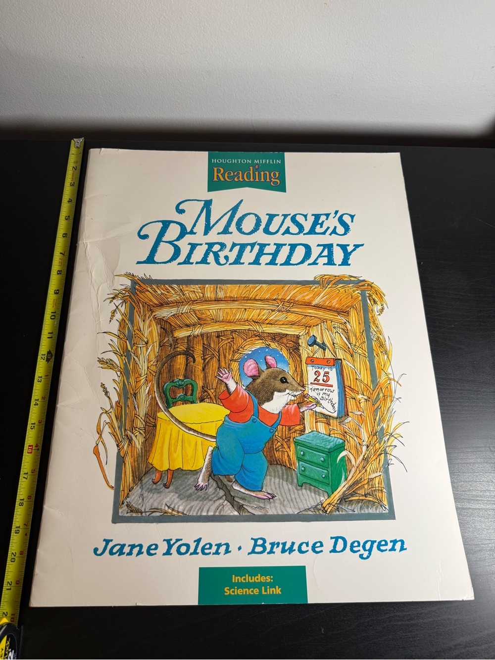 : Mouse's Birthday — Big Classroom Book Houghton Mifflin